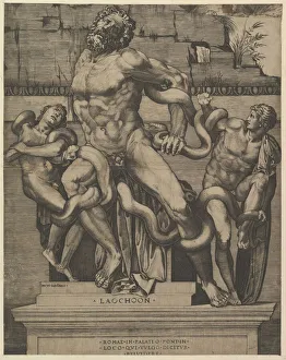 Speculum Romanae Magnificentiae: Laocoon, 16th century. Creator: Marco Dente
