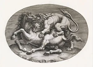 Speculum Romanae Magnificentiae: Lion Attacking a Horse, c1540-80