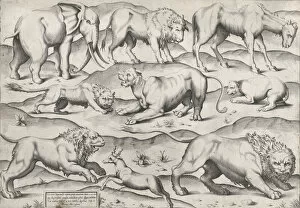 Elephants Gallery: Speculum Romanae Magnificentiae: Wild Animals, from antique wall paintings, plate 1, 1547