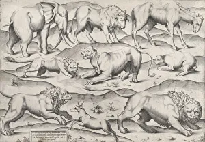 Speculum Romanae Magnificentiae: Wild Animals, from antique wall paintings, plate 1, 1547 Speculum Romanae Magnificentiae: Wild Animals, from antique wall paintings, plate 1, 1547
