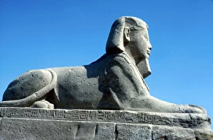 A sphinx from the avenue of Sphinxes, Temple sacred to Amun Mut & Khons, Luxor, Egypt, c370 BC