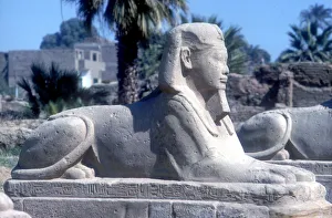 A sphinx from the avenue of Sphinxes, Temple sacred to Amun Mut & Khons, Luxor, Egypt, c370 BC