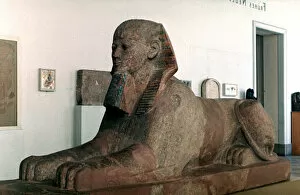 Animal Head Collection: The Sphinx of the Queen Hatschepsut, 1450