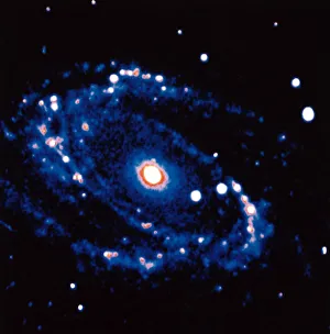 Spiral Galaxy M81 in constallation of Ursa Minor