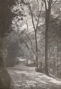 The Spirit of Tijuca, 1914