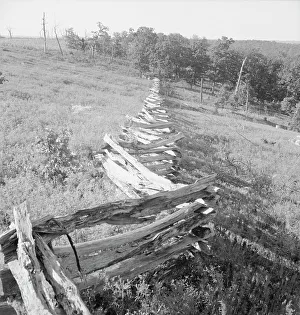 Fencing Prints: Split-log fence, North central Arkansas, along U.S. 62, 1938. Creator: Dorothea Lange