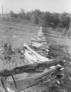Fencing Prints: Split-log fence, north central Arkansas, along U.S. 62, 1938. Creator: Dorothea Lange