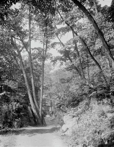 Parkland Prints: Split Rock Road, Ethan Allen Park, Burlington, Vt. between 1900 and 1920. Creator: Unknown