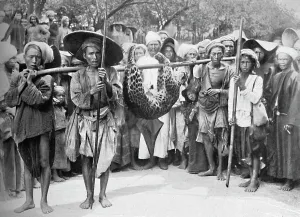 The spoils of the jungle, 1902