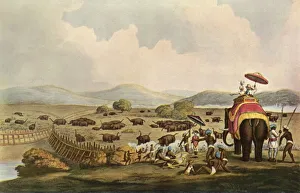 Enclosure Prints: Sport in India - Driving Elephants Into A Keddah, c1808, (1901). Creator: Unknown