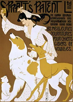 Poster Collection: Spratts Patent Ltd: Dog biscuit, 1913