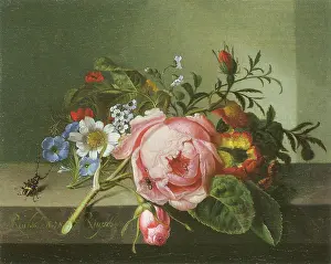 Spray of flowers, with a beetle on a stone balustrade, 1741. Creator: Rachel Ruysch