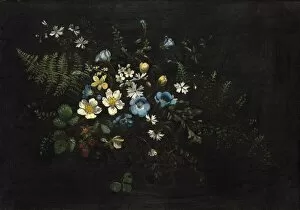 Strawberries Gallery: Spray of Flowers and Ferns, date unknown. Creator: Titian Ramsay Peale
