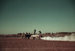 Spreading fertilizer from 4-mule team wagon, Georgia, ca. 1940. Creator: Marion Post Wolcott