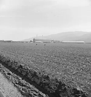 Spreckels sugar factory and sugar beet field, Monterey County, California, 1939. Creator: Dorothea Lange