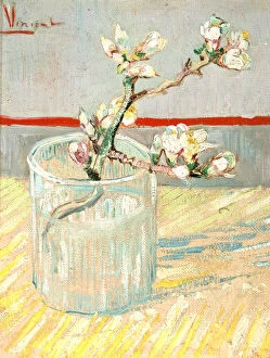 Images Dated 15th August 2005: Sprig of Flowering Almond Blossom in a Glass, 1888. Artist: Vincent van Gogh