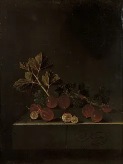 Ripe Prints: A Sprig of Gooseberries on a Stone Plinth, 1699. Creator: Adriaen Coorte
