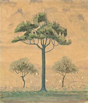 Spring