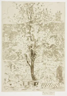 Sunlit Collection: Spring, 1906. Creator: Theodore Roussel
