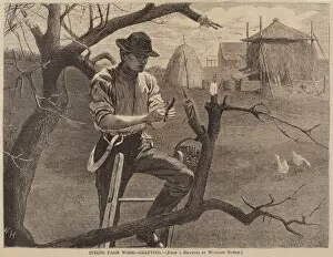 Spring Farm Work - Grafting, published 1870. Creator: Winslow Homer