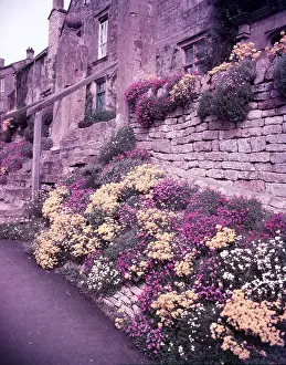 Gloucestershire Prints: Spring flowers, Blockley, Gloucestershire, c1955. Creator: Arthur Charles Kirby Ware