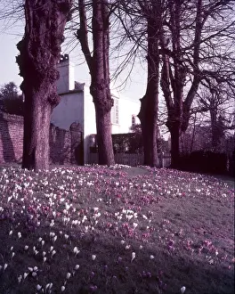 Moor Prints: Spring on Hampstead Heath, London, c1955. Creator: Arthur Charles Kirby Ware