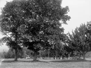 Toward the spring house, Poland Spring Hotel, South Poland, Maine, c1900. Creator: Unknown