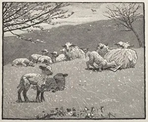 Winslow Homer American Prints: Spring Lamb, 1880. Creator: Winslow Homer (American, 1836-1910)