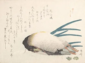 Spring Rain Collection (Harusame shu), vol. 1: Duck and Scallions, 1810s. 1810s