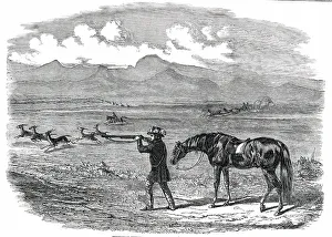 Settlers Prints: Springbok Hunting in South Africa, 1850. Creator: Unknown