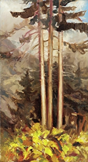 Spruces, c1930. Creator: Zolo Palugyay