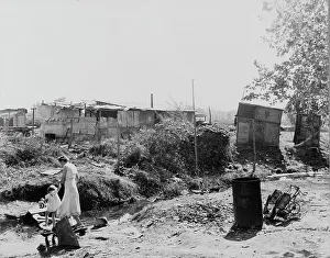 Shack Prints: Squatter camp, California, 1936. Creator: Dorothea Lange