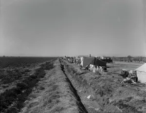 Peas Prints: Squatter camp on county road near Calipatria, 1937. Creator: Dorothea Lange