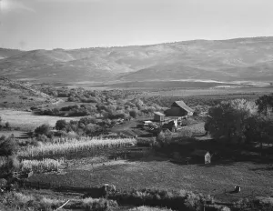 Outbuilding Prints: Squaw Valley farm, Gem County, Idaho, 1939. Creator: Dorothea Lange