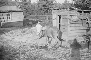 Squeakie Burroughs and friend, Hale County, Alabama, 1936. Creator: Walker Evans