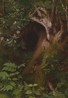 Undergrowth Prints: The Squirrel, 1860s / 70s. Creator: Seymour Joseph Guy