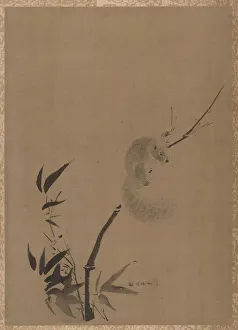 Squirrel Prints: Squirrel on Bamboo, ca. 1650. Creator: Kano Tan yû