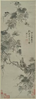 Ink And Colour On Paper Collection: Squirrel and Grapes, 1694. Creator: Shen Yongling