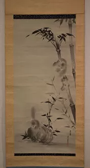 Curiosity Gallery: Squirrels on Bamboo and Rock, 19th century. Creator: Kano Osanobu