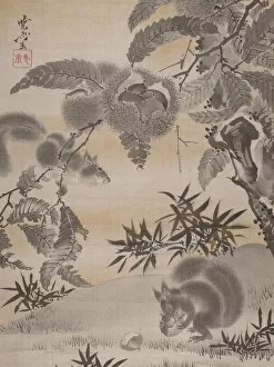 Chestnut Tree Collection: Squirrels Gathering Chestnuts, ca. 1887. Creator: Kawanabe Kyosai