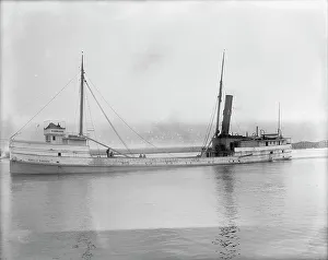 Freighter Prints: S.S. Adella Shores, between 1900 and 1910. Creator: Unknown