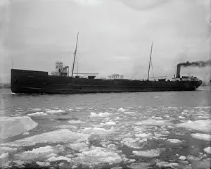 Freighter Prints: S.S. Aurania, between 1900 and 1910. Creator: Unknown
