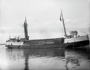 Freighter Prints: S.S. Sachem, between 1900 and 1910. Creator: Unknown