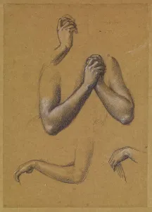 St George Series - Studies of Arms and Hands for St George slaying the Dragon and... 1865-66. Creator: Sir Edward Coley Burne-Jones