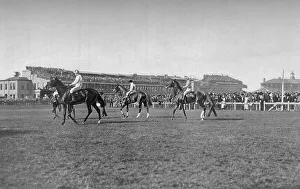 Grandstand Prints: St. Leger Horses In Front of the Doncaster Stand, c1901, (1903). Artist: WW Rouch