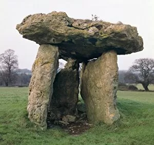 Burial Chamber Collection: St Lythans burial chamber