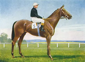 Wd Ho Prints: St. Magnus, Jockey: R. Perryman, 1939