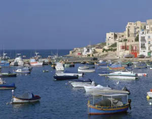 Peter Thompson Gallery: St Pauls Bay, Malta
