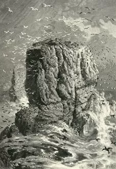 Galpin And Co Gallery: The Stack Rocks, c1870