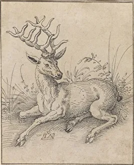 Ammann Jost Prints: The Stag. Creator: Jost Ammon